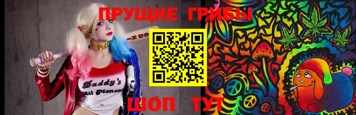 Псилоцибиновые грибы GOLDEN TEACHER Красногорск